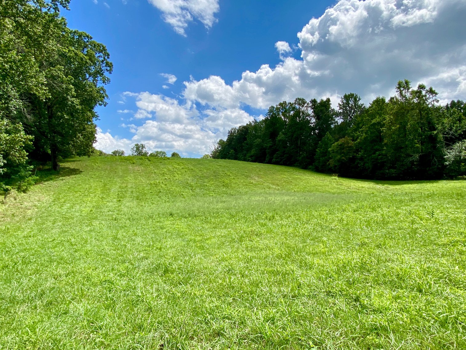 Image for 3 BR/2 BA Brick Home on 8.9 +/- Acres w/Detached Garage/Work Shop & Gorgeous Mountain Views