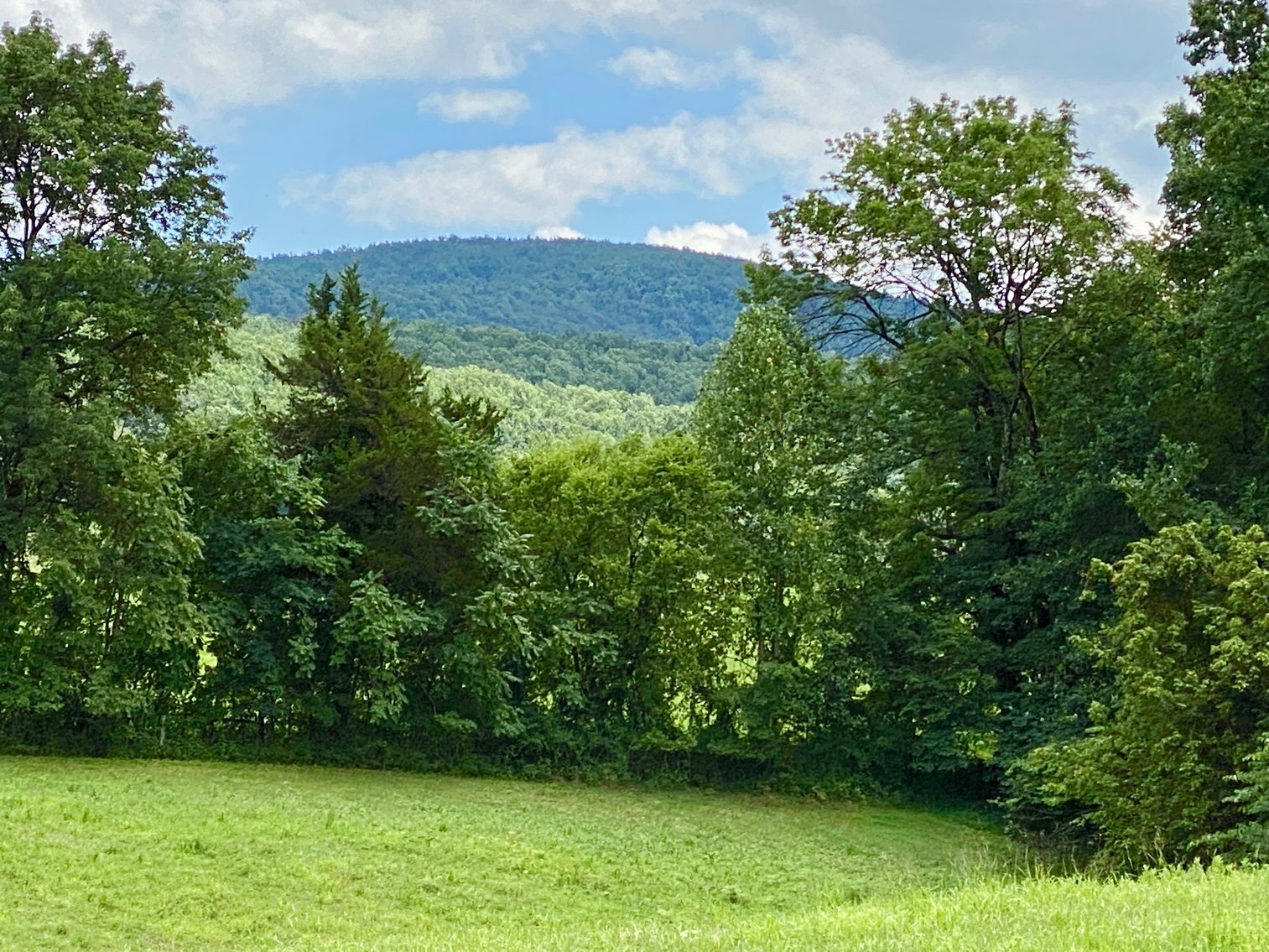 Image for 3 BR/2 BA Brick Home on 8.9 +/- Acres w/Detached Garage/Work Shop & Gorgeous Mountain Views