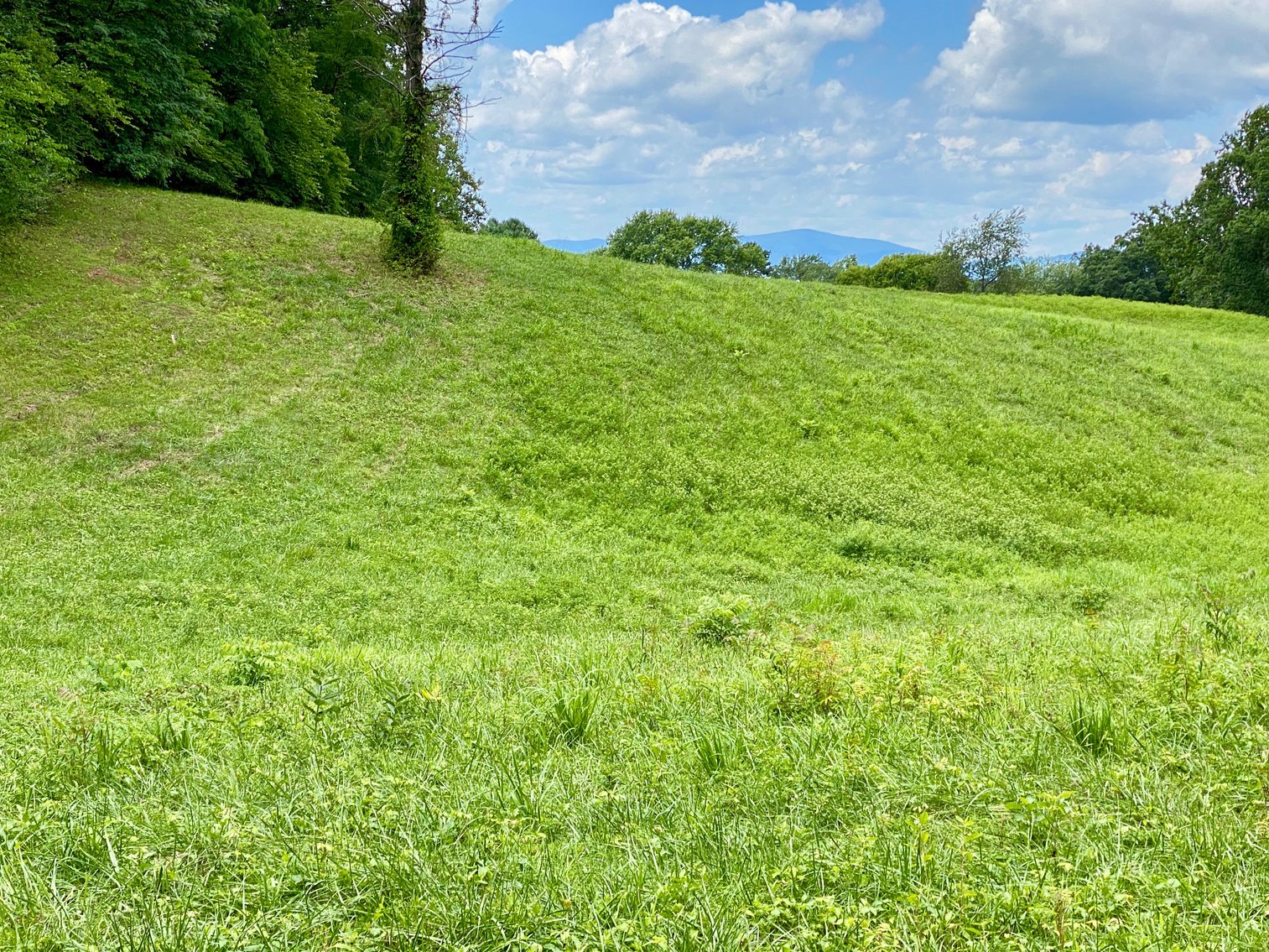 Image for 3 BR/2 BA Brick Home on 8.9 +/- Acres w/Detached Garage/Work Shop & Gorgeous Mountain Views