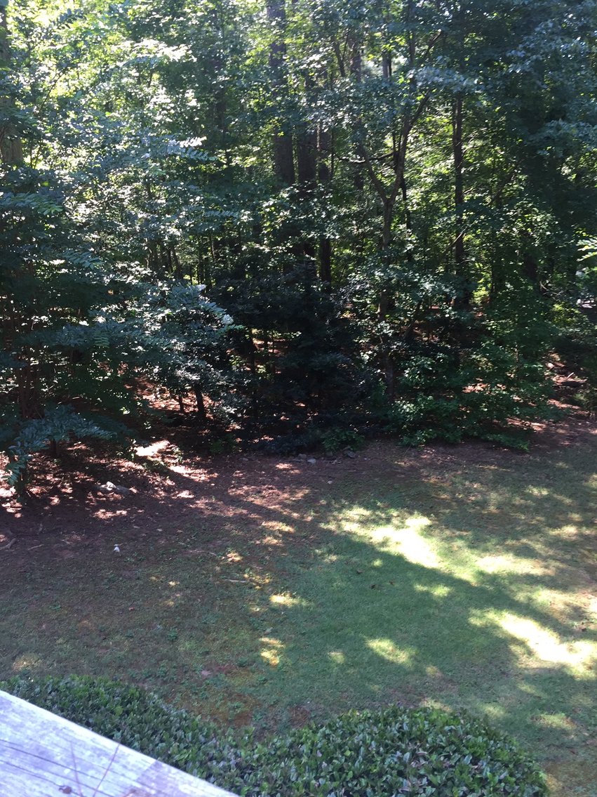 Image for LIVE AUCTION - Thursday, August 27th at 11:00 A.M. - Oxford, GA