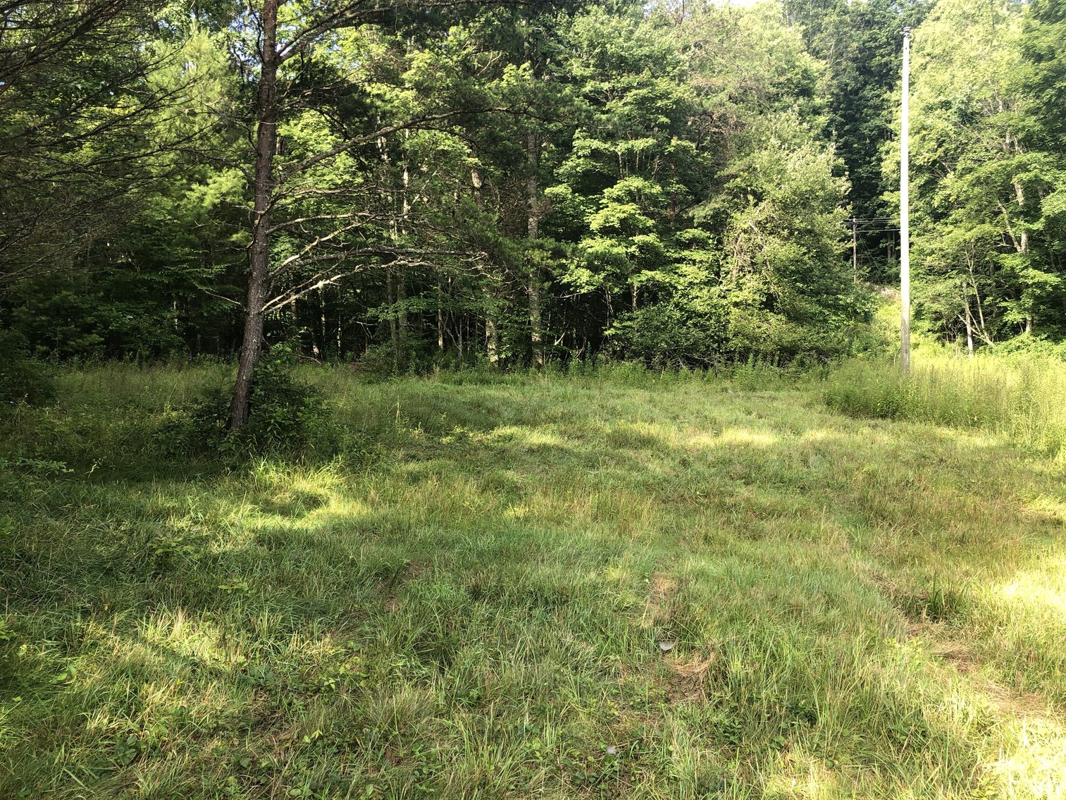 Image for 2 BR/1 BA Log Cabin on 30 +/- Acres Bordering National Forest in Bath County, VA