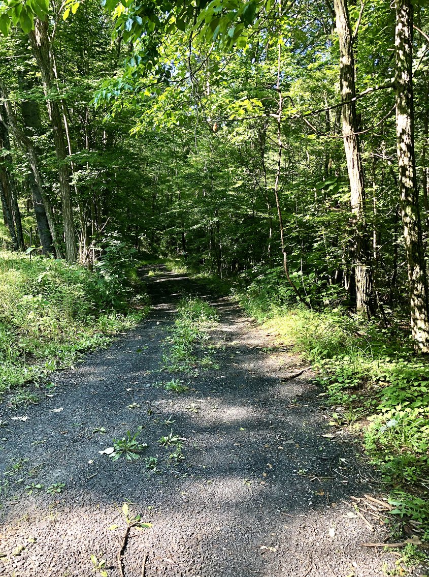 Image for 2 BR/1 BA Log Cabin on 30 +/- Acres Bordering National Forest in Bath County, VA