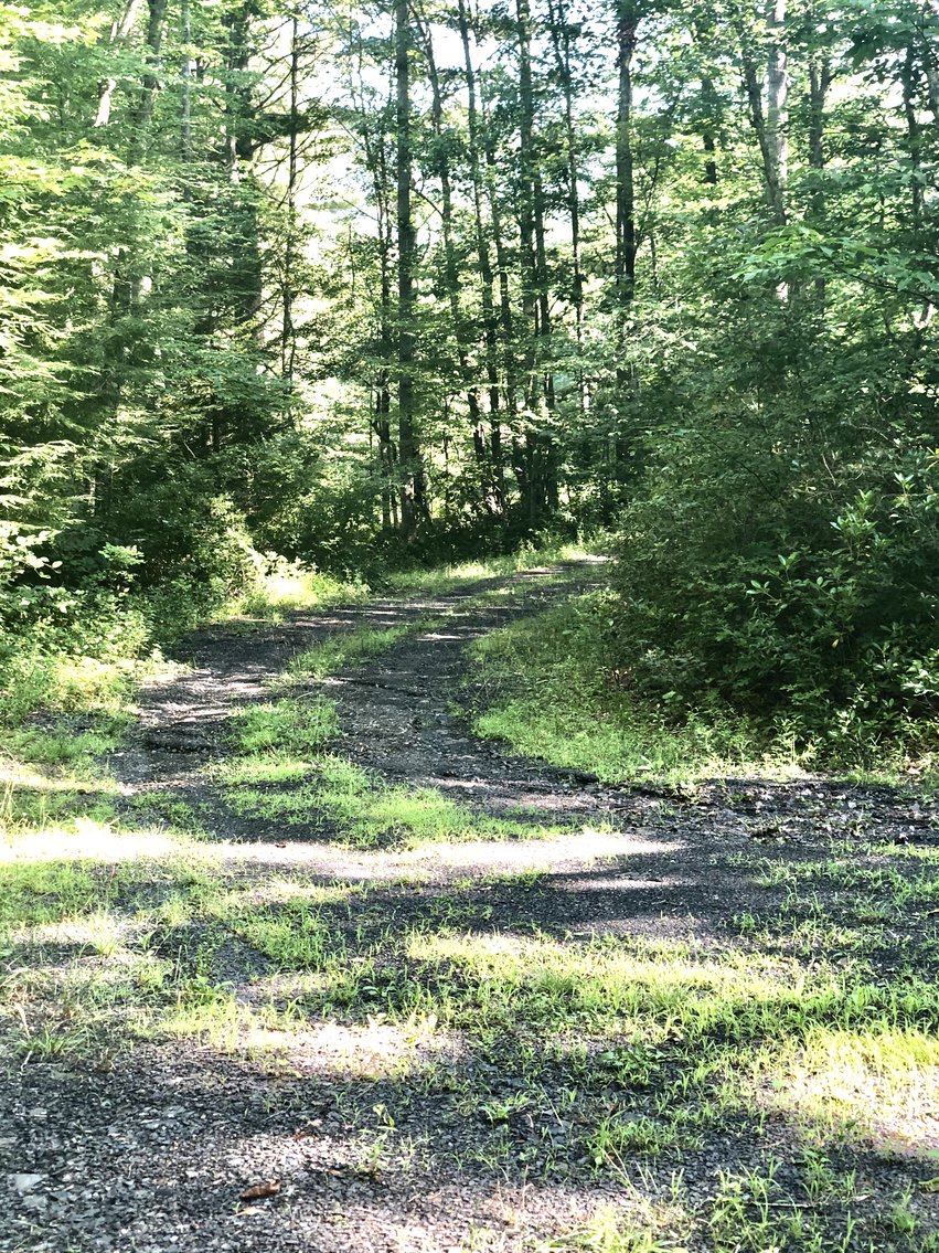 Image for 2 BR/1 BA Log Cabin on 30 +/- Acres Bordering National Forest in Bath County, VA