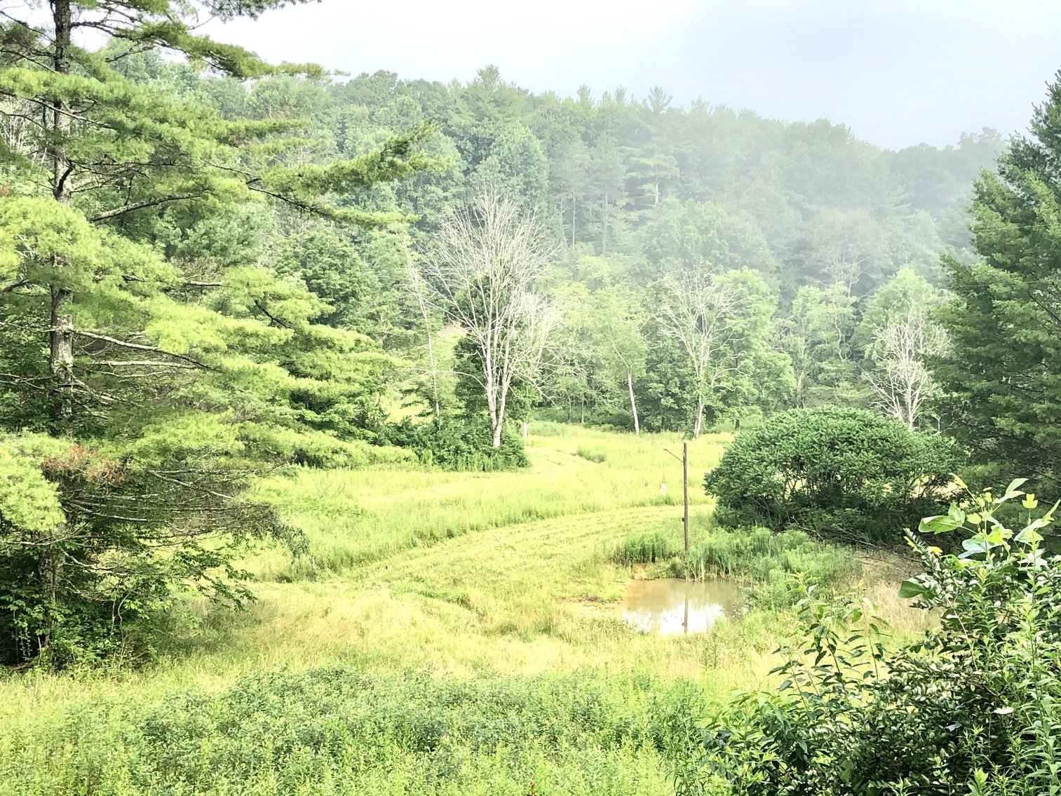 Image for 2 BR/1 BA Log Cabin on 30 +/- Acres Bordering National Forest in Bath County, VA