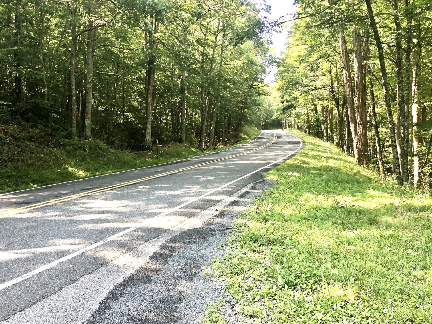 Image for 2 BR/1 BA Log Cabin on 30 +/- Acres Bordering National Forest in Bath County, VA