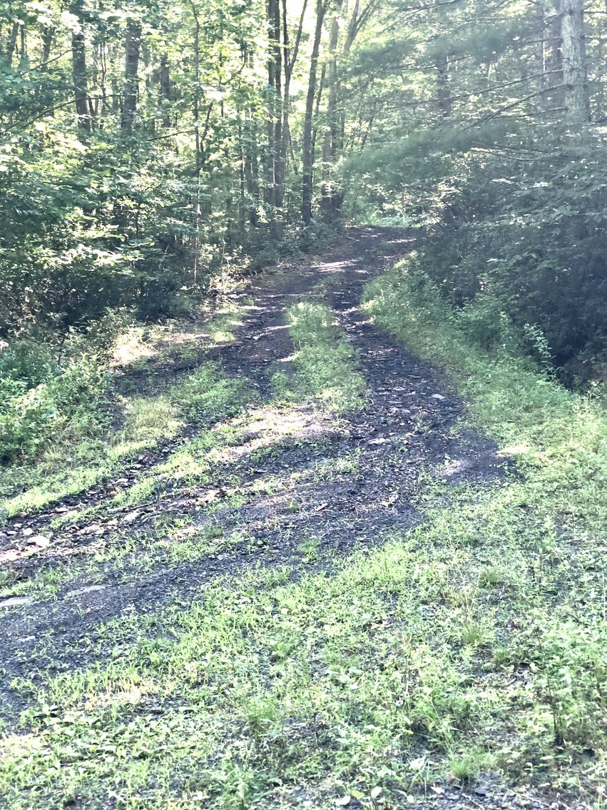 Image for 2 BR/1 BA Log Cabin on 30 +/- Acres Bordering National Forest in Bath County, VA