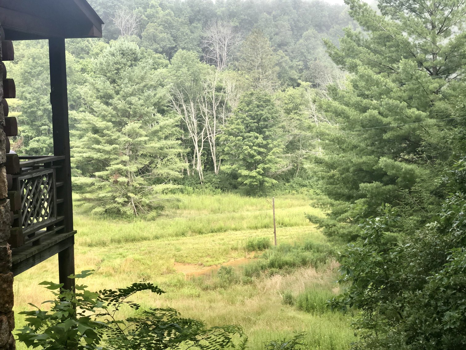 Image for 2 BR/1 BA Log Cabin on 30 +/- Acres Bordering National Forest in Bath County, VA