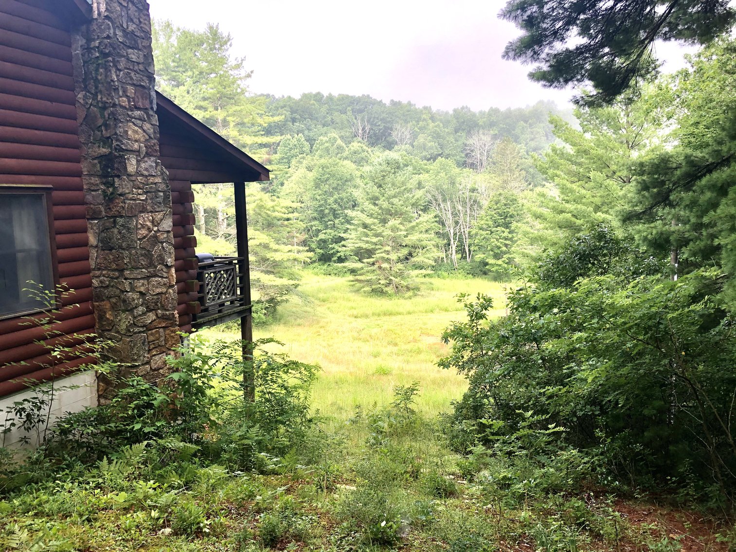 Image for 2 BR/1 BA Log Cabin on 30 +/- Acres Bordering National Forest in Bath County, VA