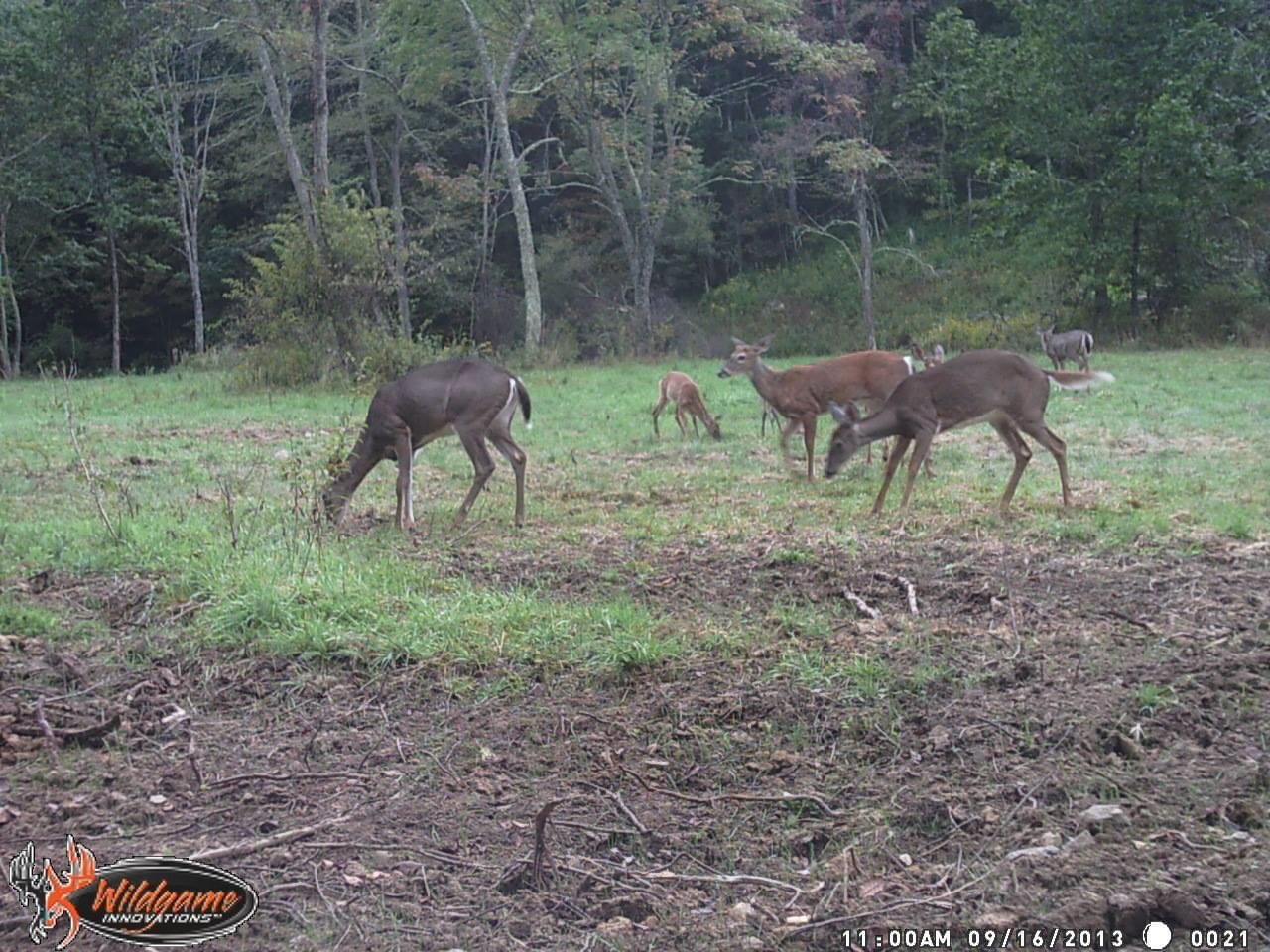 Image for 2 BR/1 BA Log Cabin on 30 +/- Acres Bordering National Forest in Bath County, VA