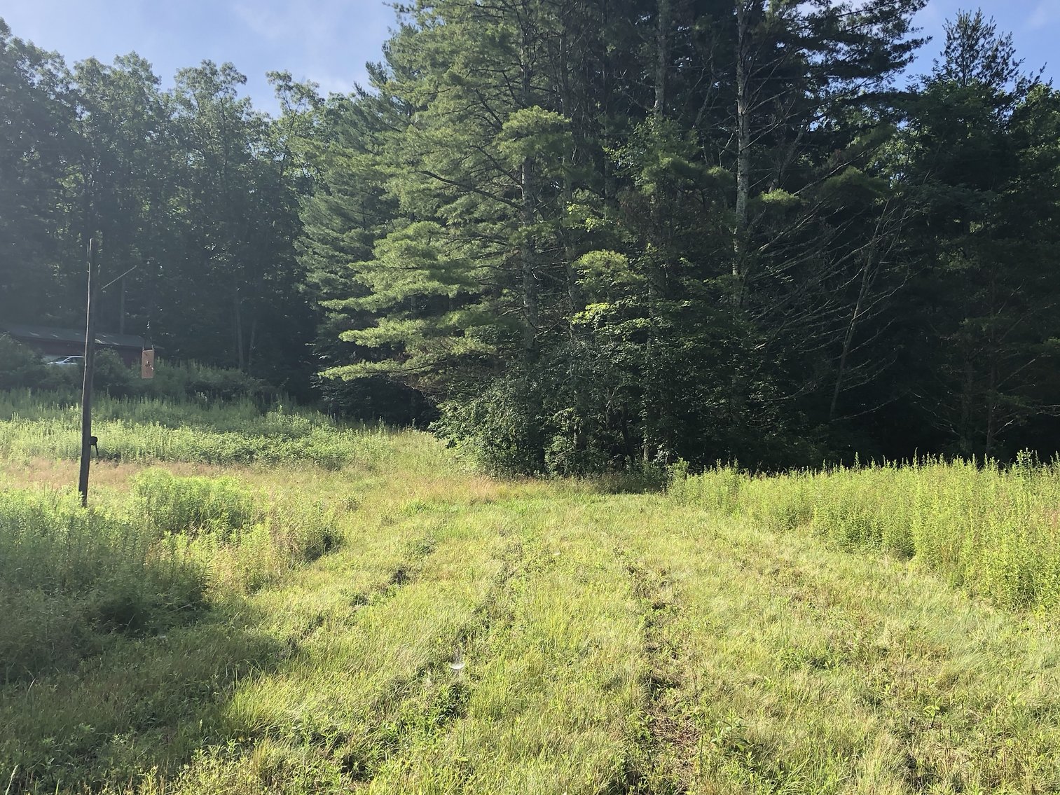 Image for 2 BR/1 BA Log Cabin on 30 +/- Acres Bordering National Forest in Bath County, VA