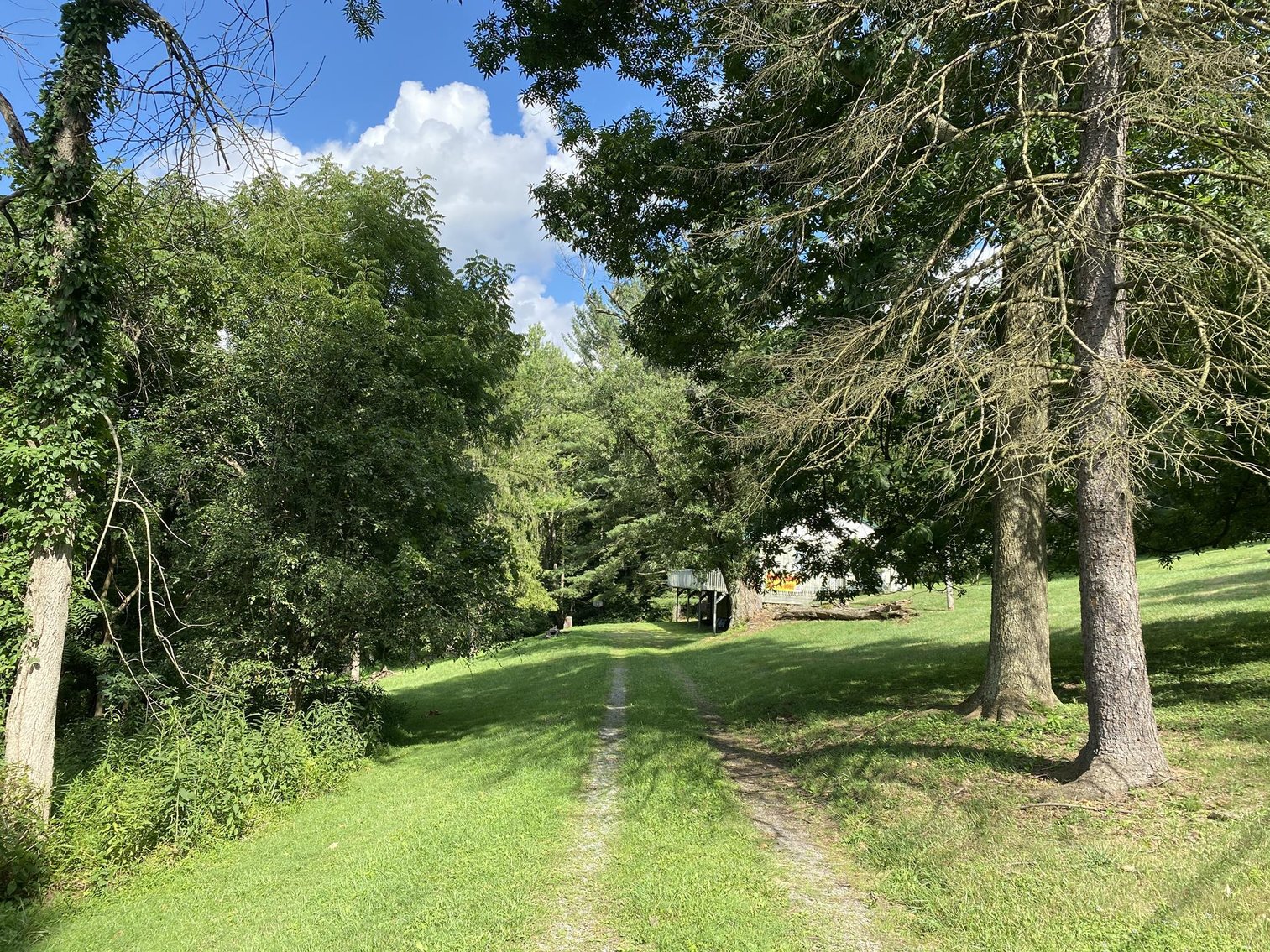 Image for SOLD $225,500 - 2.69 Acres on Canyon Road Sold to the Highest Bidder