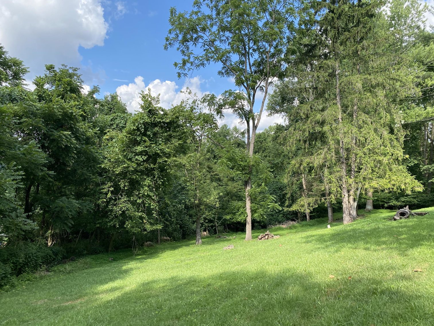 Image for SOLD $225,500 - 2.69 Acres on Canyon Road Sold to the Highest Bidder