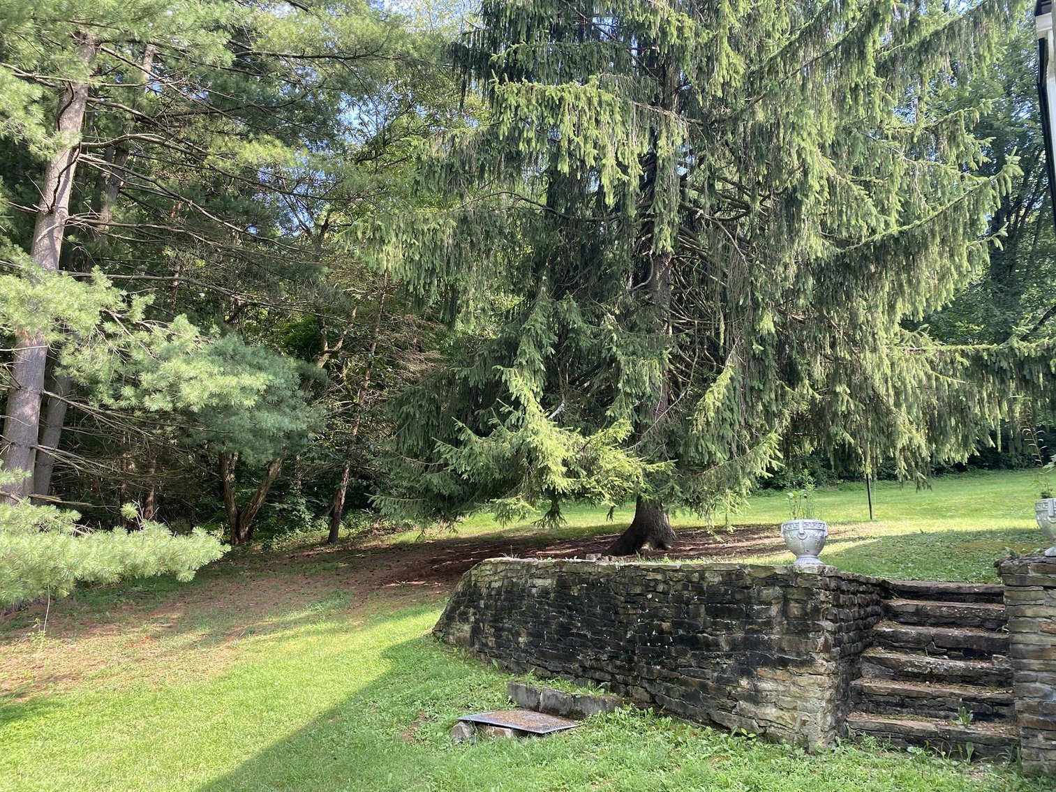 Image for SOLD $225,500 - 2.69 Acres on Canyon Road Sold to the Highest Bidder