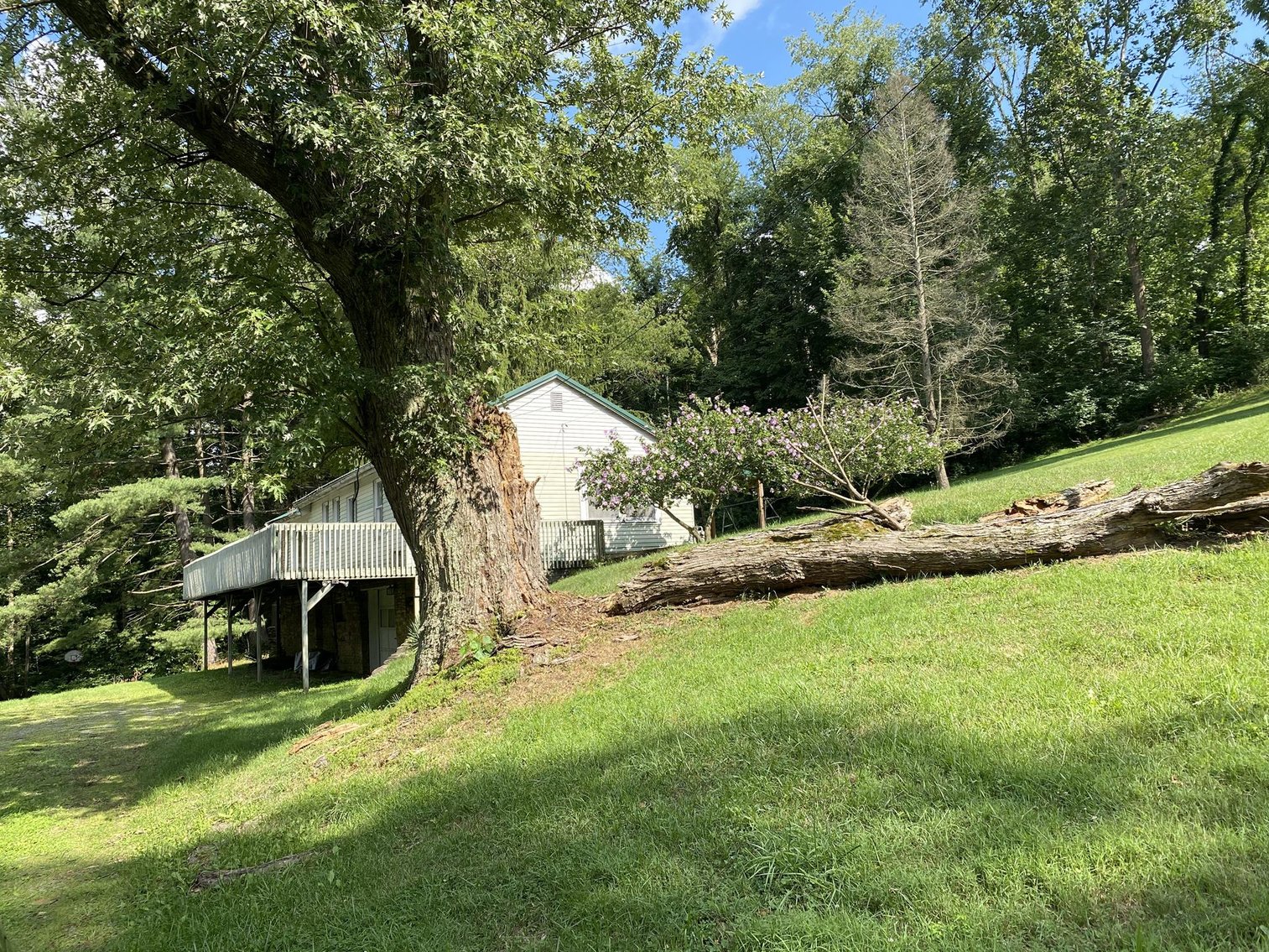 Image for SOLD $225,500 - 2.69 Acres on Canyon Road Sold to the Highest Bidder