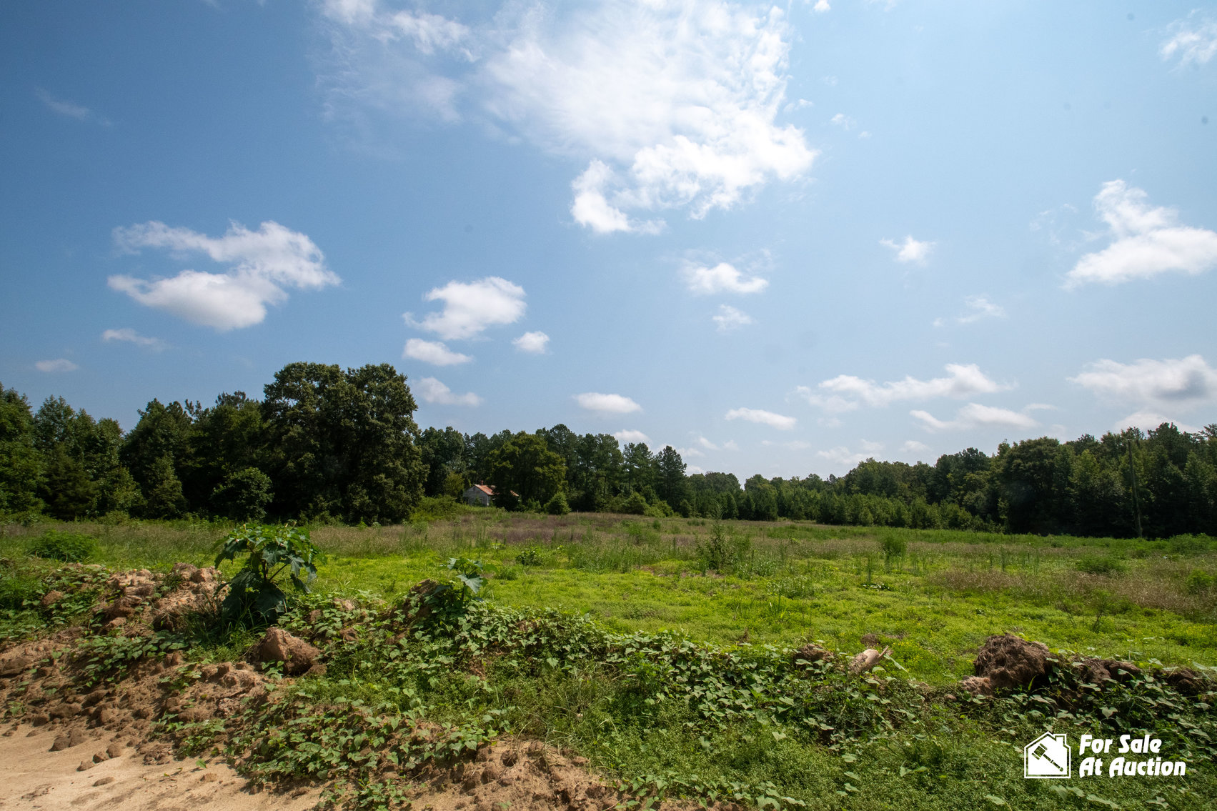 Image for Amelia County, VA Tax Delinquent Real Estate Auction!