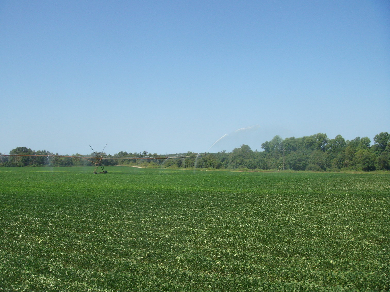 Image for LIVE AUCTION - THURSDAY, SEPTEMBER 10, 2020 @ 7:00 p.m. - 158 Acres in Laurens Co., GA