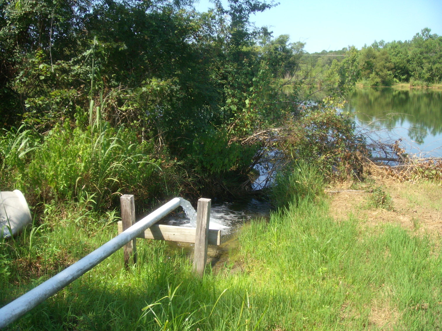 Image for LIVE AUCTION - THURSDAY, SEPTEMBER 10, 2020 @ 7:00 p.m. - 158 Acres in Laurens Co., GA