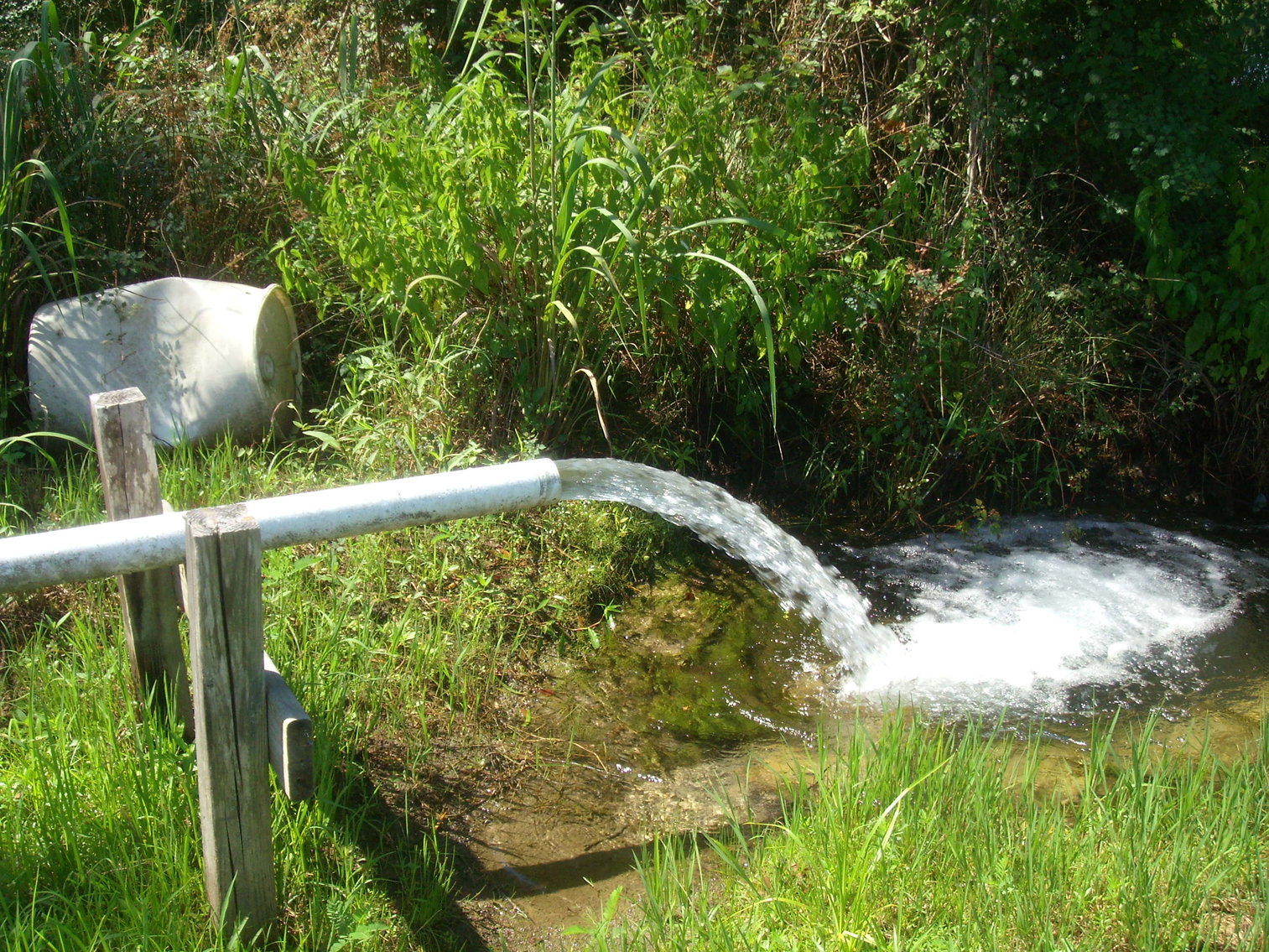 Image for LIVE AUCTION - THURSDAY, SEPTEMBER 10, 2020 @ 7:00 p.m. - 158 Acres in Laurens Co., GA