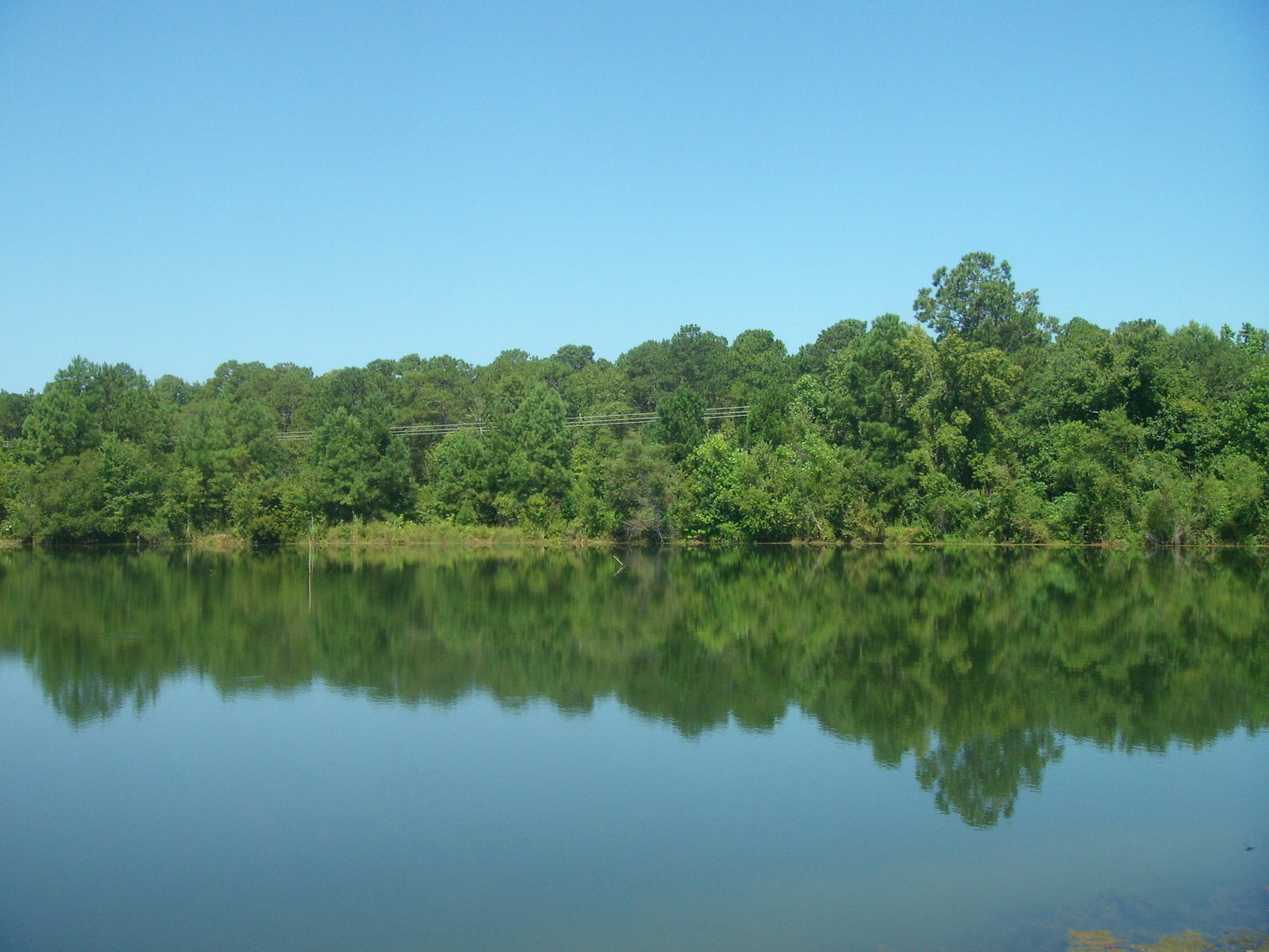 Image for LIVE AUCTION - THURSDAY, SEPTEMBER 10, 2020 @ 7:00 p.m. - 158 Acres in Laurens Co., GA