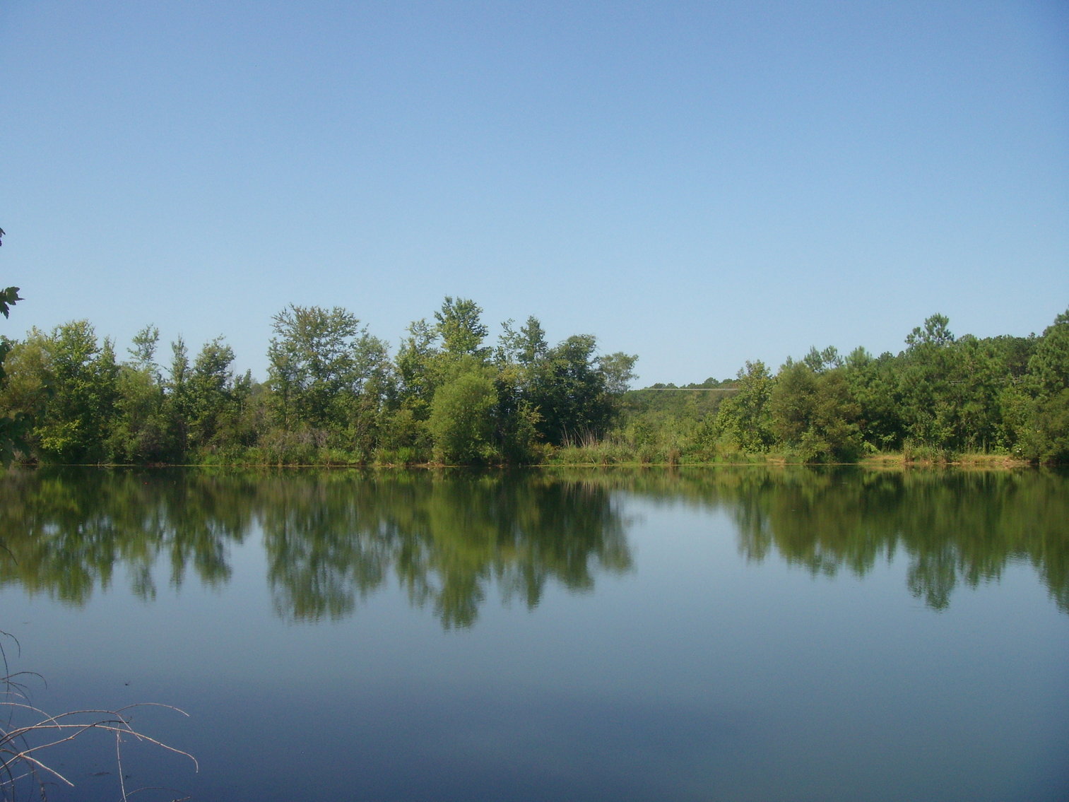 Image for LIVE AUCTION - THURSDAY, SEPTEMBER 10, 2020 @ 7:00 p.m. - 158 Acres in Laurens Co., GA