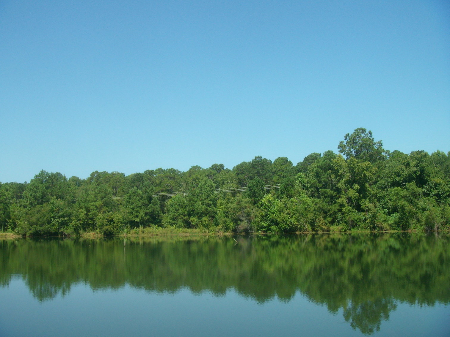 Image for LIVE AUCTION - THURSDAY, SEPTEMBER 10, 2020 @ 7:00 p.m. - 158 Acres in Laurens Co., GA