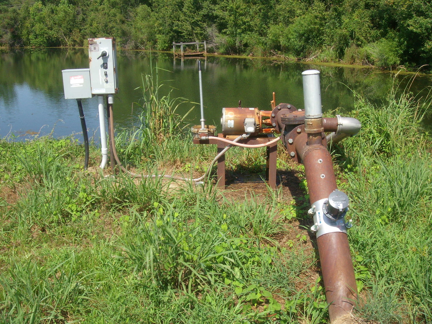 Image for LIVE AUCTION - THURSDAY, SEPTEMBER 10, 2020 @ 7:00 p.m. - 158 Acres in Laurens Co., GA