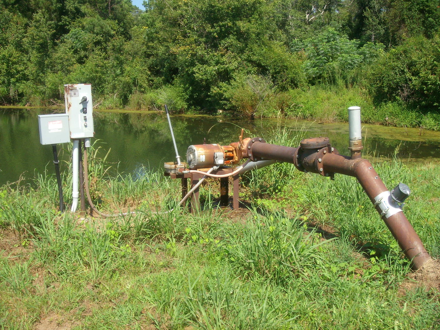 Image for LIVE AUCTION - THURSDAY, SEPTEMBER 10, 2020 @ 7:00 p.m. - 158 Acres in Laurens Co., GA