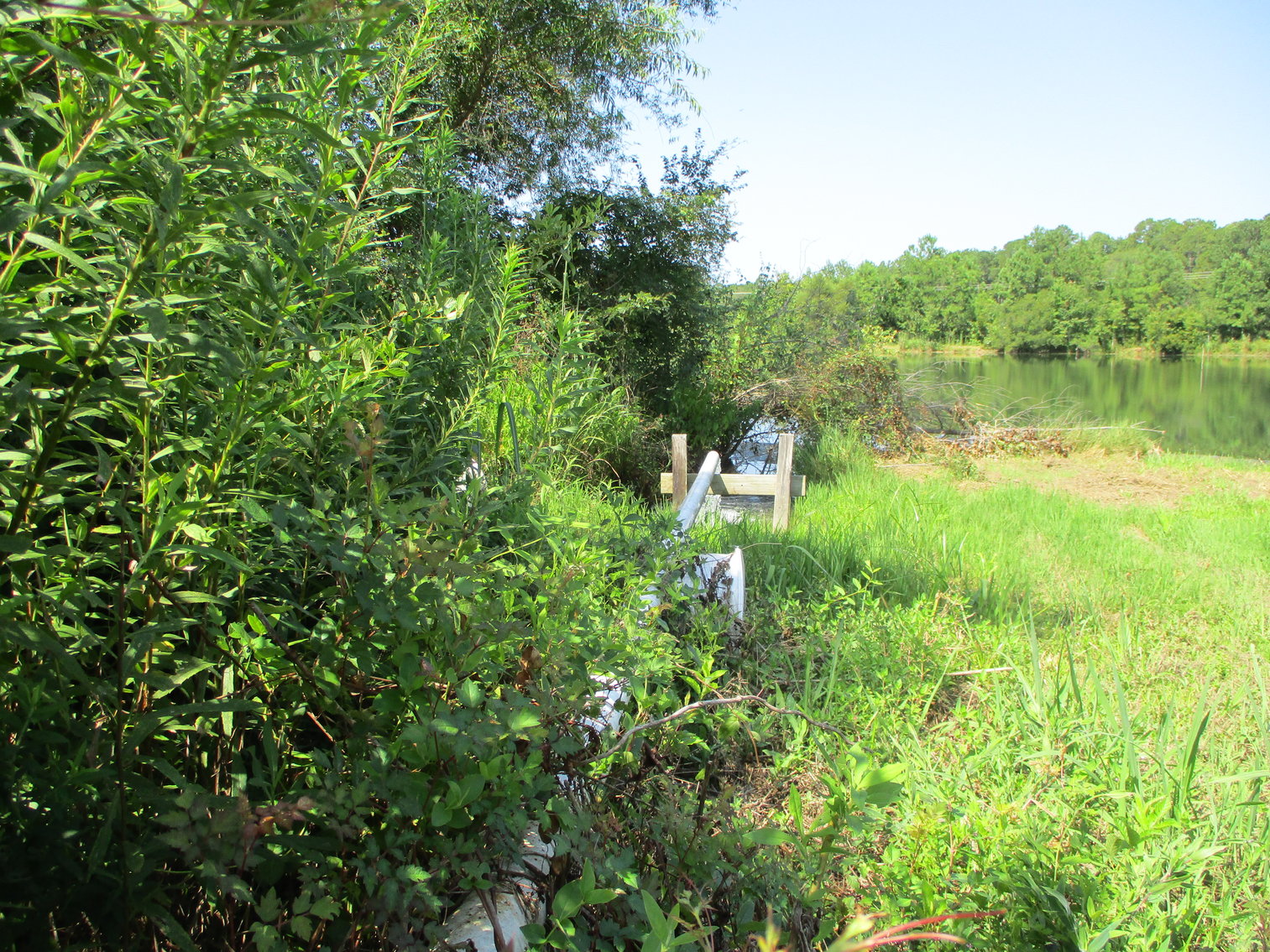 Image for LIVE AUCTION - THURSDAY, SEPTEMBER 10, 2020 @ 7:00 p.m. - 158 Acres in Laurens Co., GA