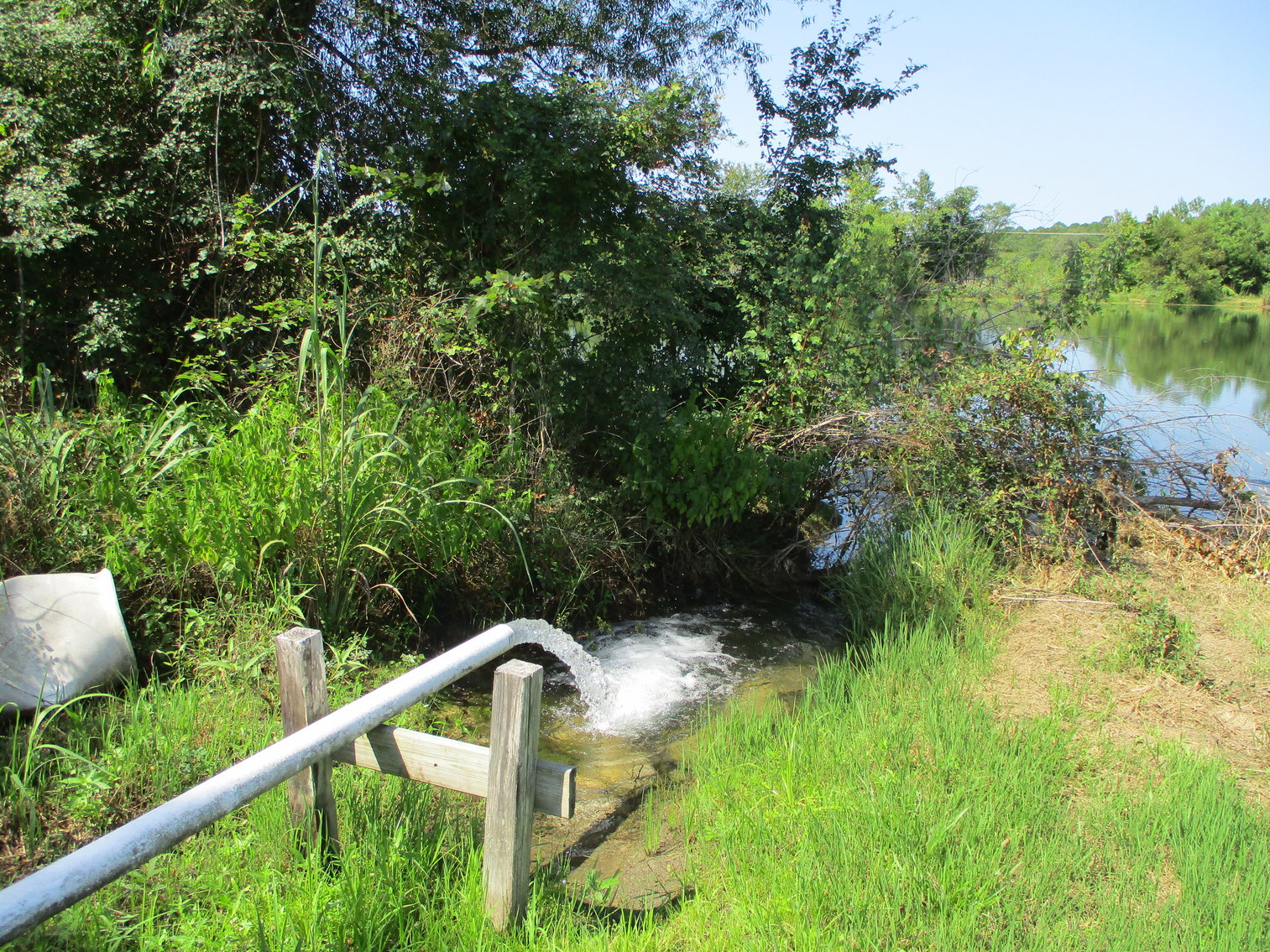 Image for LIVE AUCTION - THURSDAY, SEPTEMBER 10, 2020 @ 7:00 p.m. - 158 Acres in Laurens Co., GA