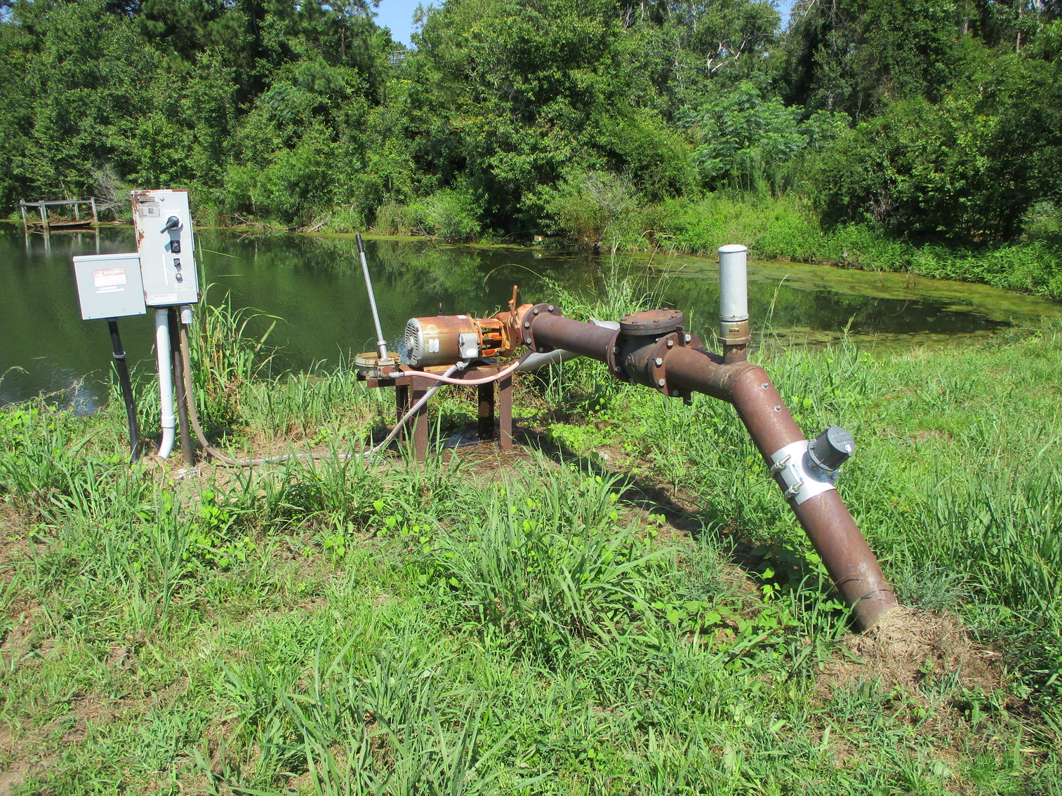 Image for LIVE AUCTION - THURSDAY, SEPTEMBER 10, 2020 @ 7:00 p.m. - 158 Acres in Laurens Co., GA