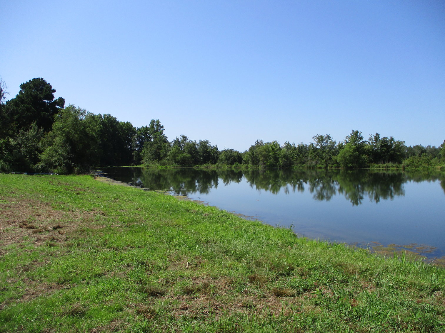 Image for LIVE AUCTION - THURSDAY, SEPTEMBER 10, 2020 @ 7:00 p.m. - 158 Acres in Laurens Co., GA