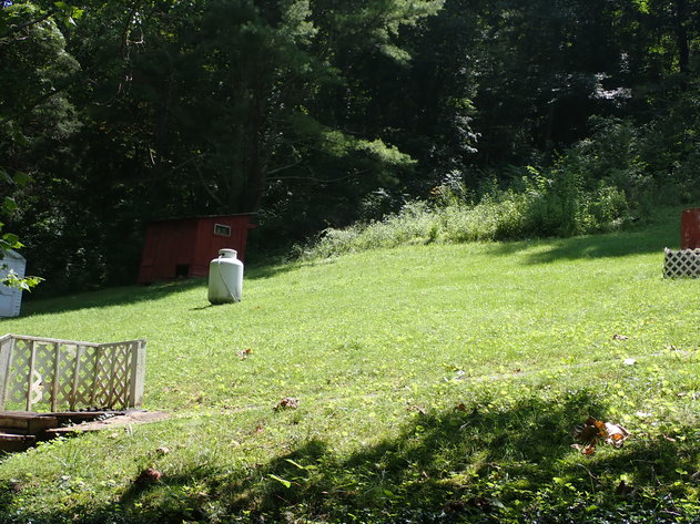 Image for Newly Remodeled Home on 3 Acres