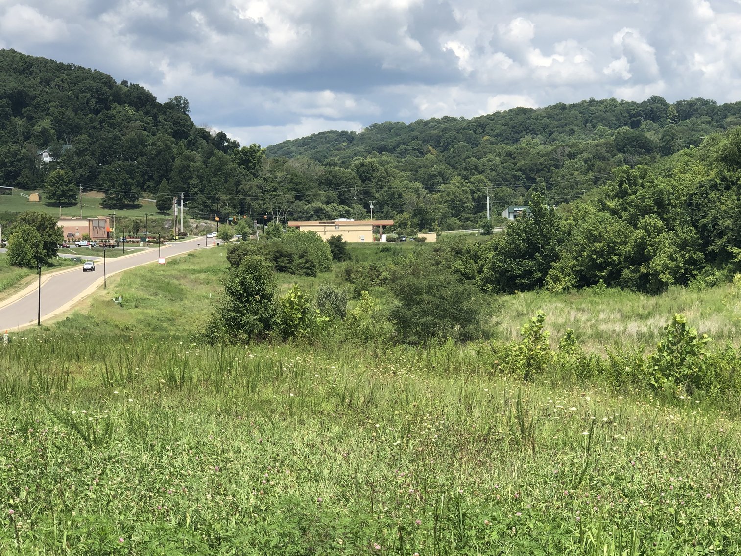 Image for REAL ESTATE AUCTION: 4 Lots (Kingsport, TN)