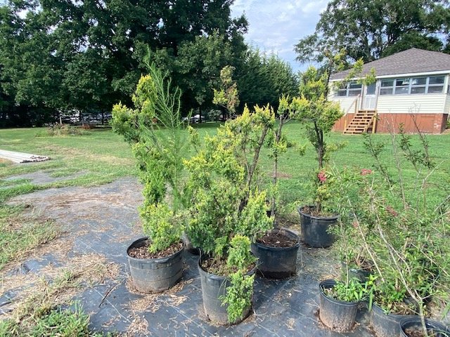 Image for Farm, Nursery and Building Supplies