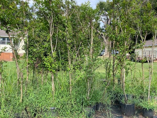 Image for Farm, Nursery and Building Supplies