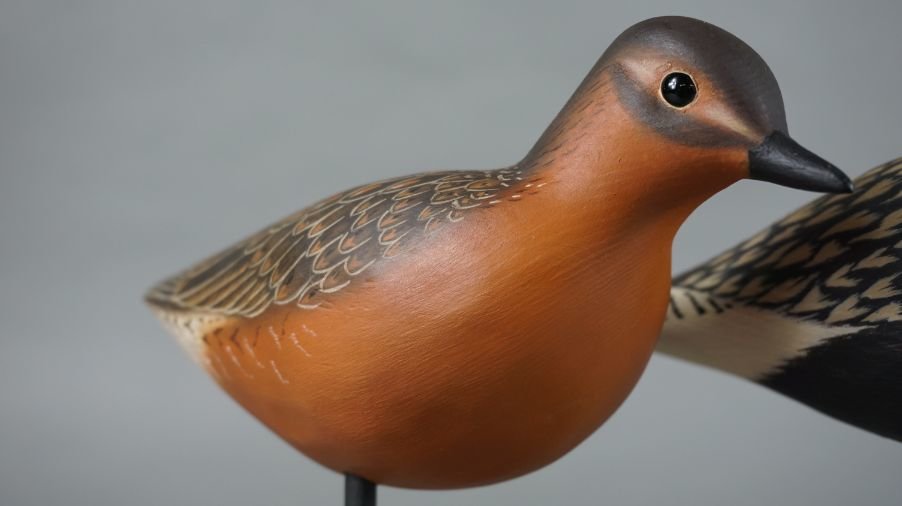 Image for September Online Sportsman's Auction