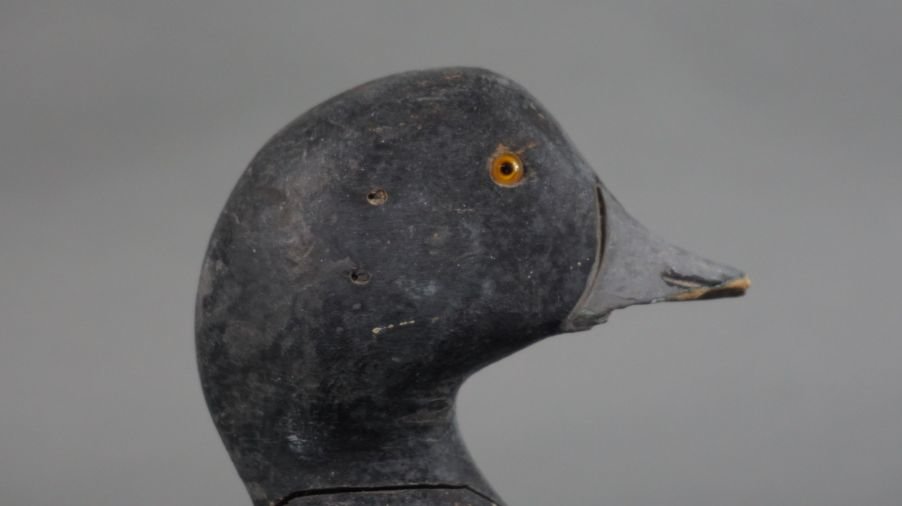 Image for September Online Sportsman's Auction