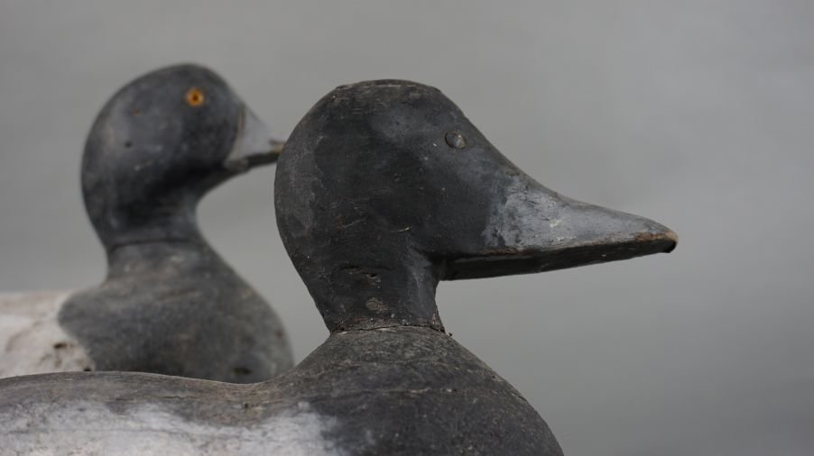 Image for September Online Sportsman's Auction