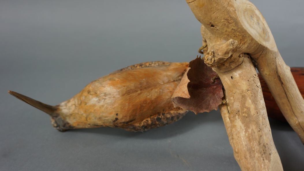 Image for September Online Sportsman's Auction