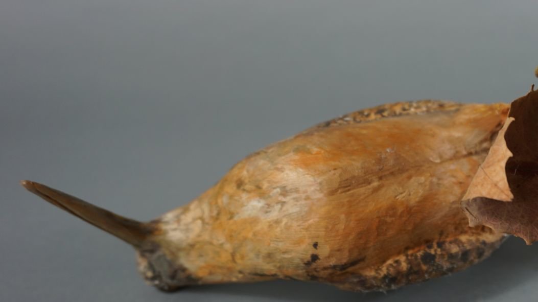 Image for September Online Sportsman's Auction