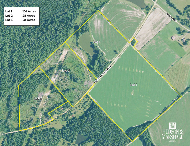 Image for LIVE AUCTION - THURSDAY, SEPTEMBER 10, 2020 @ 7:00 p.m. - 158 Acres in Laurens Co., GA