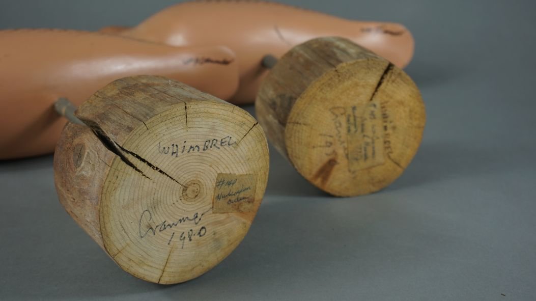 Image for Fall Sportsman's Auction Session Two