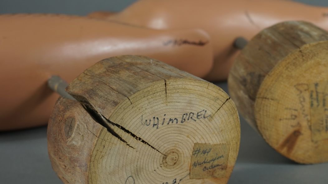 Image for Fall Sportsman's Auction Session Two