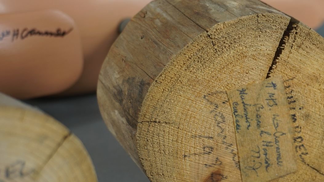 Image for Fall Sportsman's Auction Session Two