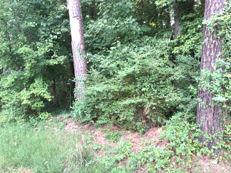 Image for Henrico County, VA Non-Judicial Tax Delinquent Real Estate Online Auction