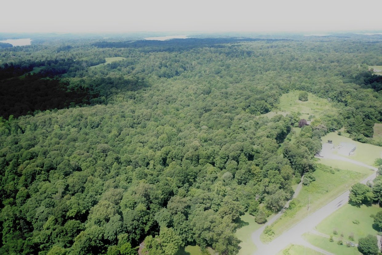 Image for 84+/- Acre Farm Auction