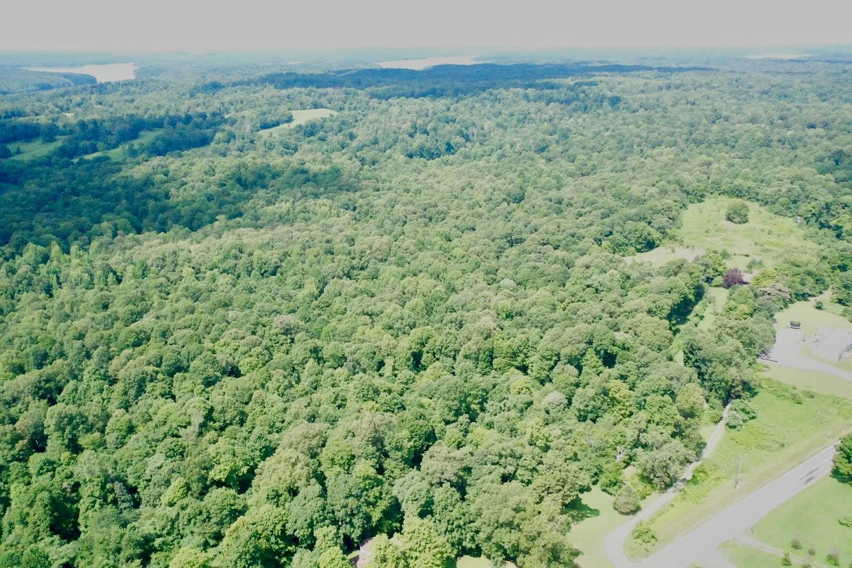 Image for 84+/- Acre Farm Auction