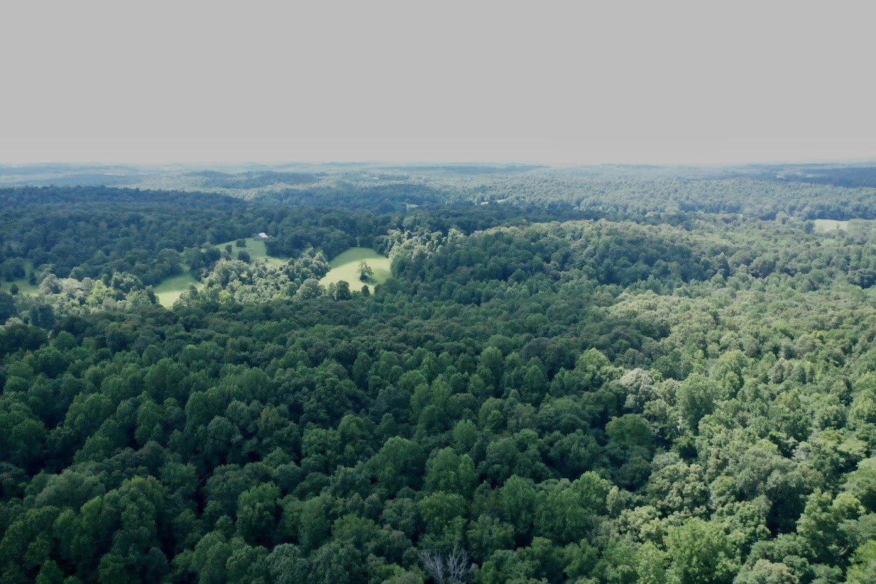 Image for 84+/- Acre Farm Auction