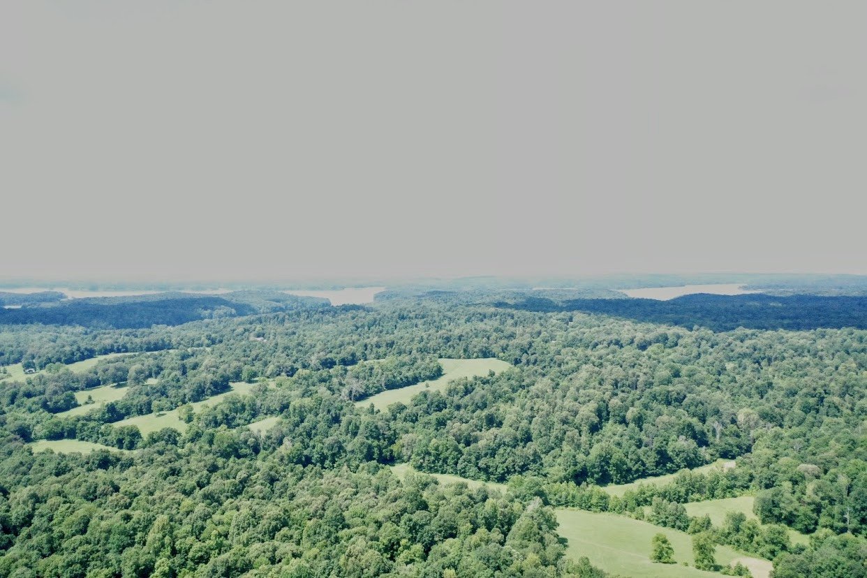 Image for 84+/- Acre Farm Auction