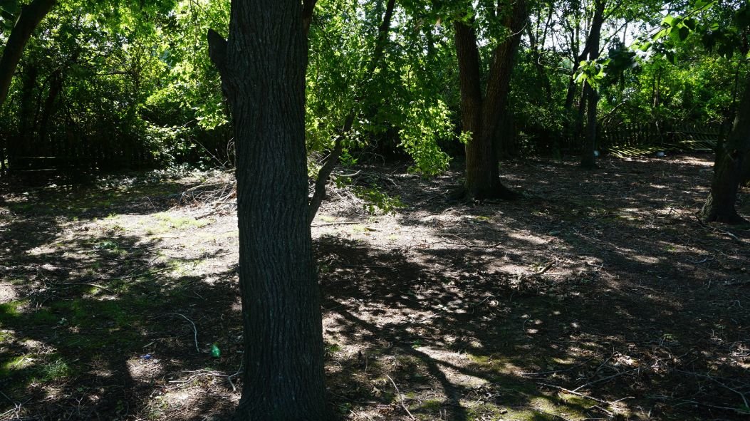 Image for Pocomoke MD Real Estate Auction